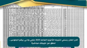 الآن إعلان رسمي لنتيجة الثانوية العامة 2025 علمي وأدبي برقم الجلوس.. تحقق من نتيجتك مباشرةً